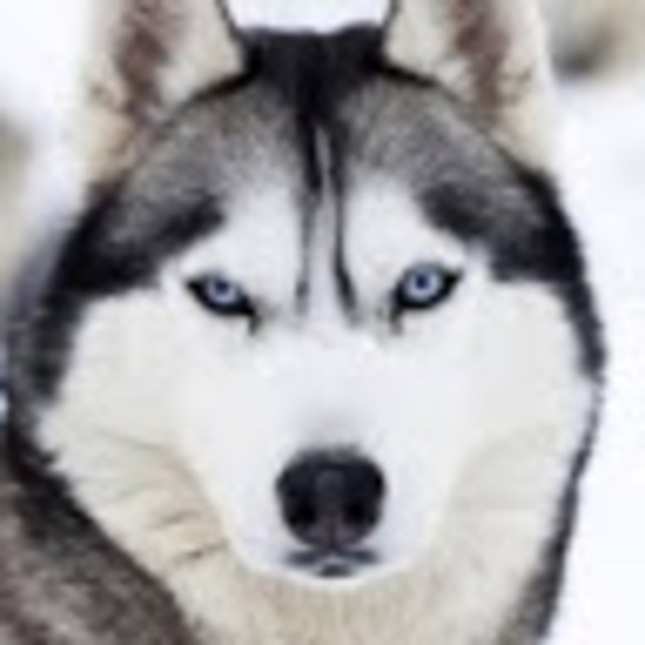 Meet your Posher, Pam - Picture 1 of 1